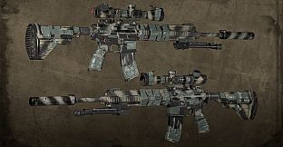 Squad Weapon Skins - Second Tour Pack