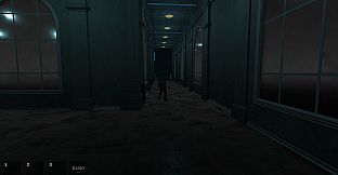 Empty House