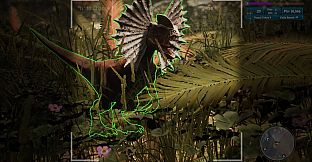 Morels: Out of this World