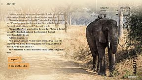 Wanderlust: Travel Stories