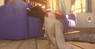 The Cat: Tales of Istanbul