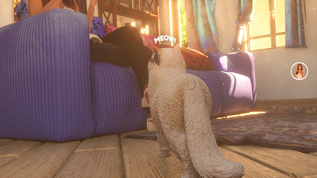 The Cat: Tales of Istanbul