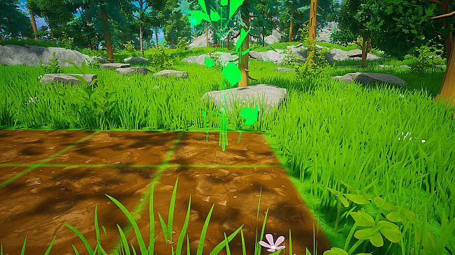 My Money Grows On Trees