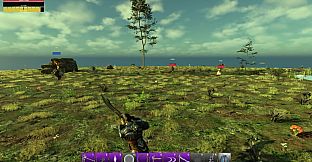 Souls in Conflict