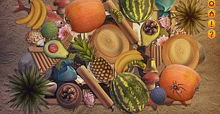 Divine Journey: The Life of Jesus