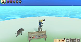 Castaway
