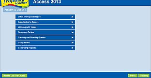 Professor Teaches Access 2013 & 365