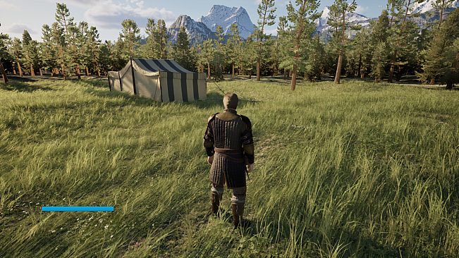 Castles & Castellans