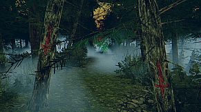 The Children of The Woods - Lost Tape