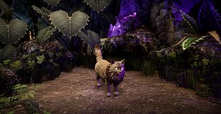 Another Sight - Hodge Skins