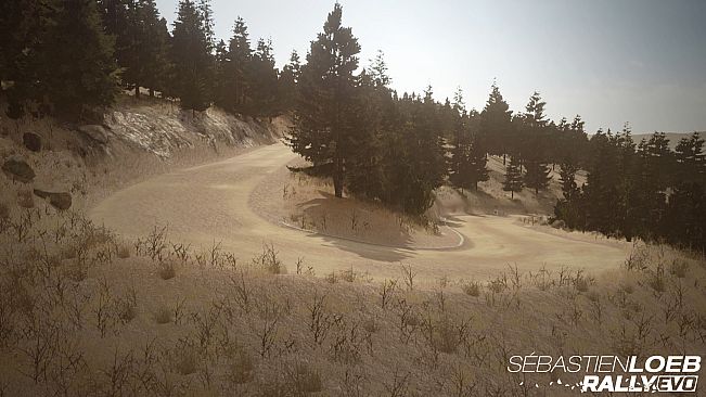 Sébastien Loeb Rally EVO - Pikes Peak Pack Peugeot 405 T 16 PP