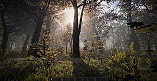 PROJECT D : Human Risen