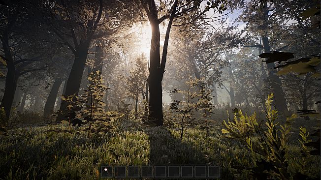 PROJECT D : Human Risen