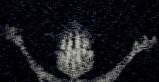 Chop Goblins - Cabinet of Curiosities