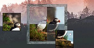 Shattered Frames 3: Skies Above