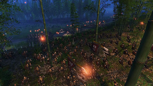 Total War: THREE KINGDOMS - The Furious Wild