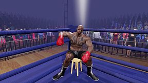 Boxing Knockout Showdown