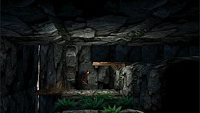 the Shadow of Swallow