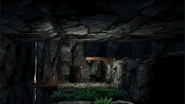 the Shadow of Swallow