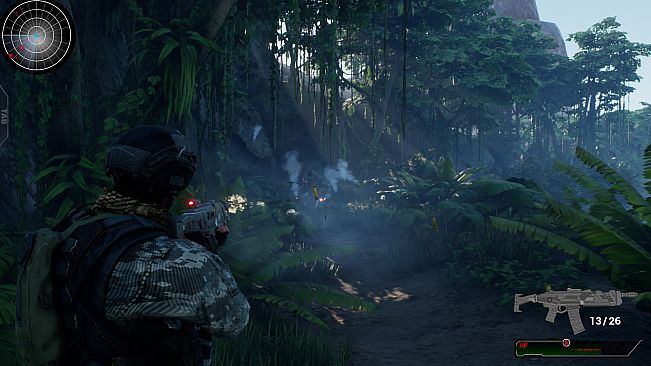 Intelligence Operation