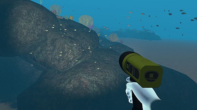 Dive with Sylvia VR