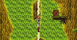 The Revenge of Shinobi