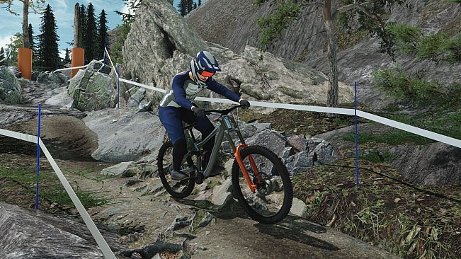 Downhill Pro Racer