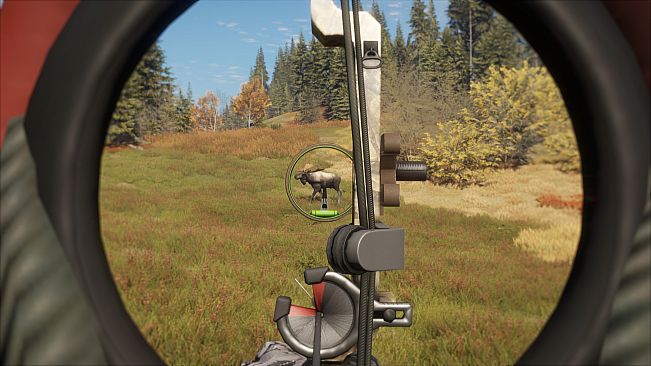 theHunter: Call of the Wild - Remi Warren