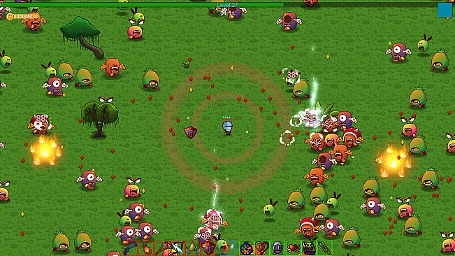 Survivor:Stay In The Light