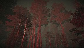 It Sleeps Below the Haar