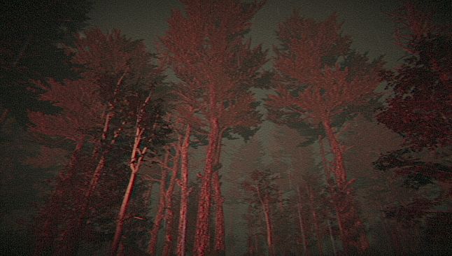 It Sleeps Below the Haar