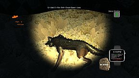 Deer Hunting - The Season