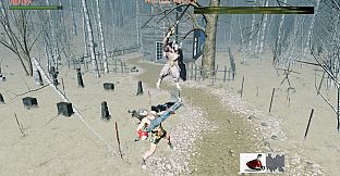 Assassin Of Werewolf