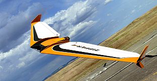 RealFlight Evolution – Zipper