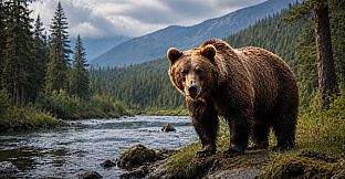Puzzles Bears