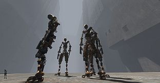 Roaches