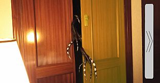 6-7 Nights At Vicente's