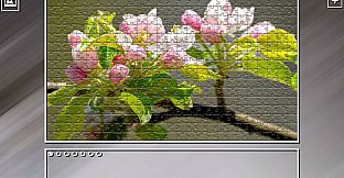 Super Jigsaw Puzzle: Generations - Flowers 2