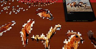 Puzzle Together - Animals Jigsaw Super Pack