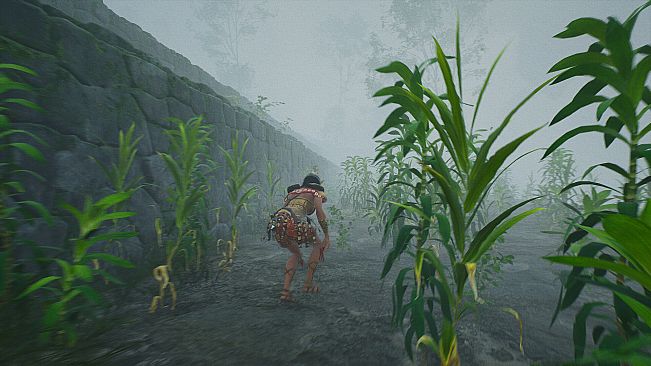 Quipu Runner: Warmi's Legacy