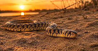 Puzzles Reptiles