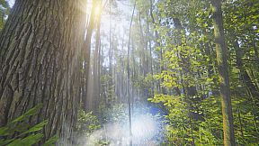 Mindfulness Simulator - ASMR Meditation Game