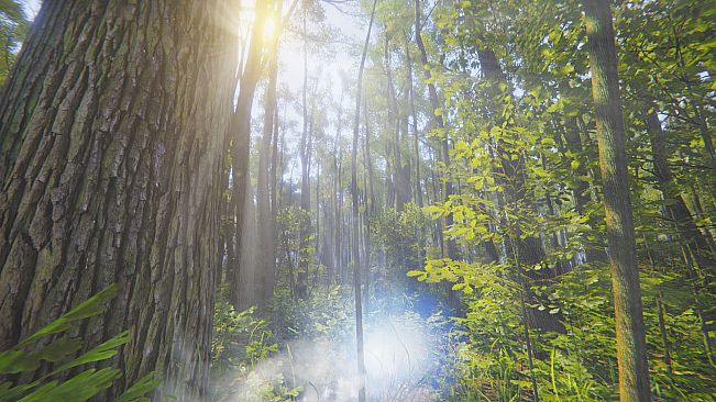 Mindfulness Simulator - ASMR Meditation Game