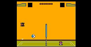 Extreme Volleyball Infernal League