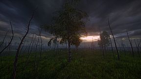 Birch Simulator
