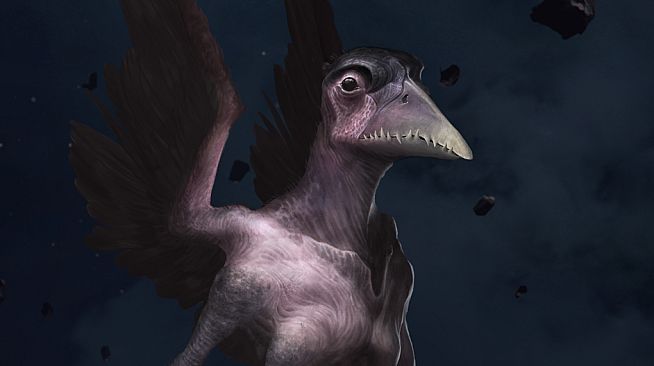 Stellaris: Anniversary Portraits