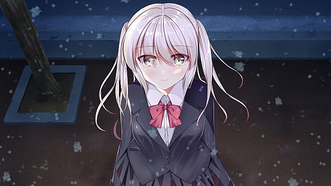 White Wings ホワイトウィングス