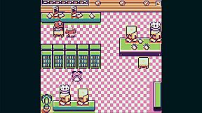 Toni Island Adventure