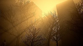 The Concrete District