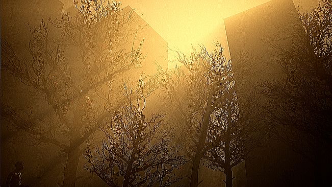 The Concrete District